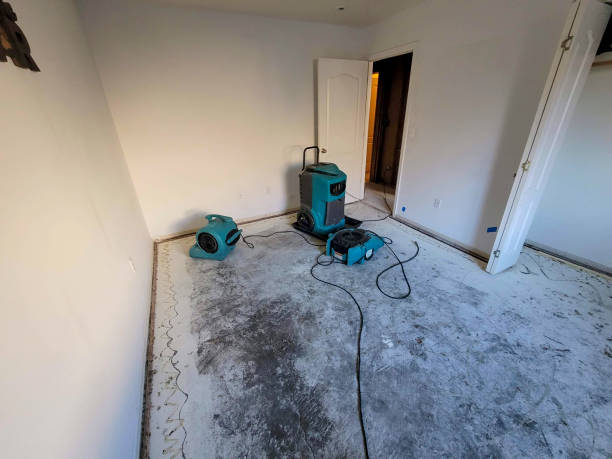 Best Water damage restoration near me  in Country Club Hills, MO